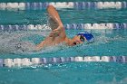 Swim vs Bentley  Wheaton College Swimming & Diving vs Bentley University. - Photo by Keith Nordstrom : Wheaton, Swimming & Diving